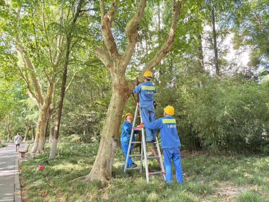 防汛备汛工作情况汇报__关于做好防汛备汛工作的通知